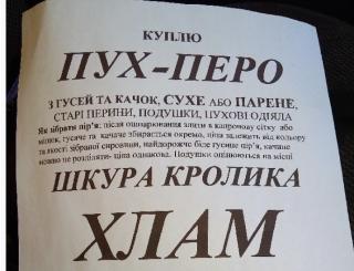 Закуповуємо пір'я,свіже утине гусине,старі перини подушки,гарбузове насіння Шкарлупу Горіхів. - фото