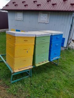 Вулик з ППУ для бджолосімей під рамку "Рута" (230 мм) - фото