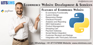 Ecommerce website development Services & Customizations | Business website builder in Python - фото