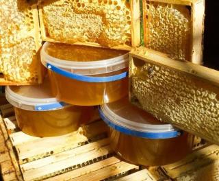 Пропоную бджолопакети української степової породи - фото