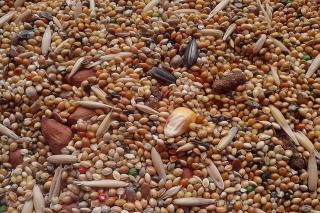 Закуповуємо відходи зернових, олійних бобових - фото