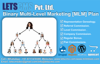 Binary MLM Software | Multi-Level Marketing Plan | BMP MLM Plan Features - фото