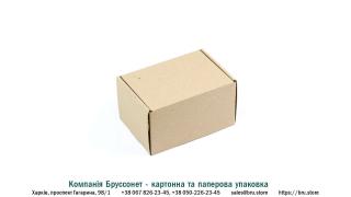 Крафтова самозбірна картонна коробка з мікрогофрокартону 22x14x9 см - фото