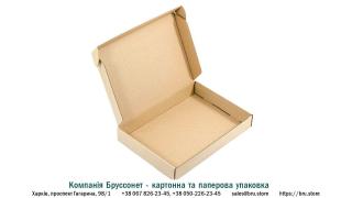 Картонна самозбірна коробка 440x250x50 мм: рішення для якісної упаковки - фото