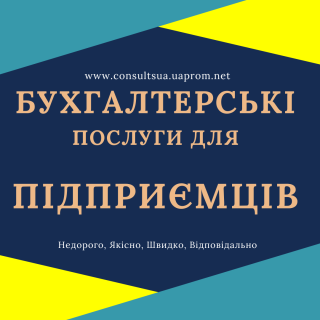 Бухгалтерські послуги з супроводу ФОП, ПП, СПД, підприємців. Онлайн. - фото