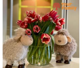 Прийом імунолога в медичному центрі Your family. - фото