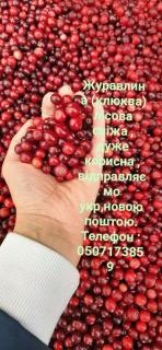Свіжа журавлина, сушені ягоди, фрукти, гриби сушені, мариновані, джеми, огірки, домашня консервація, трави - фото