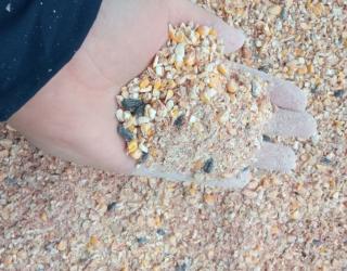 Купуємо некондицію та зерновідходи. Працюємо з посередниками. - фото