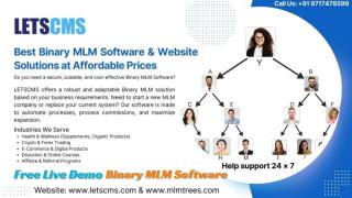 Best Binary MLM Software & Website Solutions at Affordable Prices - LETSCMS - фото