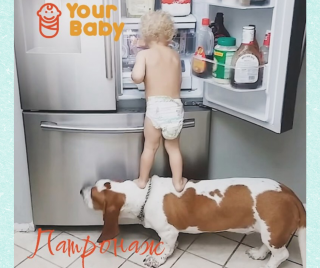 Патронаж новонароджених і дітей раннього віку в Your Family - фото