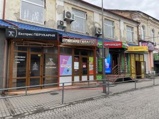 Оренда фасадного приміщення по вул. Сенаторки Левчанівської - фото