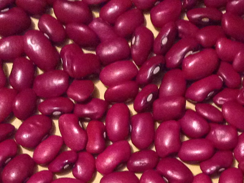 ТОВ Бінс Натур Продукт: сортова квасоля оптом, фото 1 ТОВ Бінс Натур Продукт: сортова квасоля оптом, фото 1