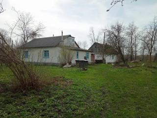 Продам господарство - фото