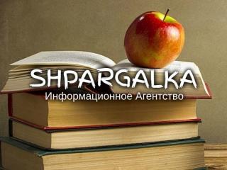 Разработка стартапа для ВКР на заказ в Украине - фото