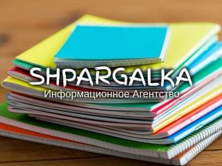 Чертежи для ВКР на заказ в Украине - фото