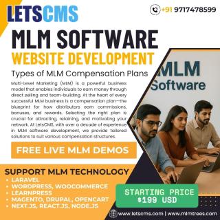 Types of MLM Compensation Plans: MLM Software and Website Development - фото