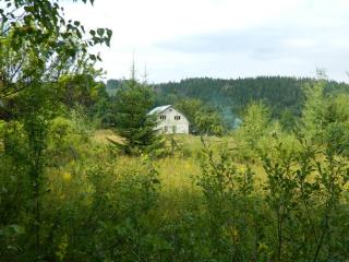Бюджетний відпочинок в Буковинських Карпатах з повагою до Природи. Бюджетний відпочинок в Буковинських Карпатах з повагою до Природи.