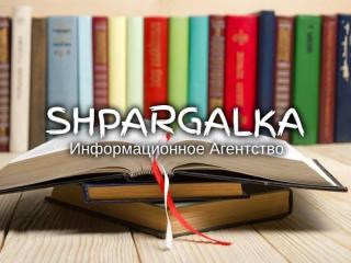 Разработка стартапа для дипломной работы на заказ в Украине - фото