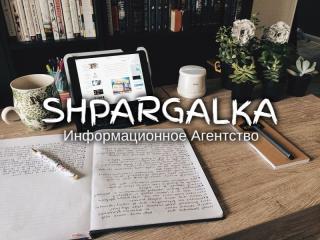 Разработка стартап-проекта для дипломной работы на заказ в Украине - фото