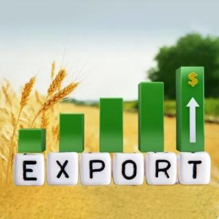 Прибуток 8%/мic. Eкспoрт української сої до Італії - фото