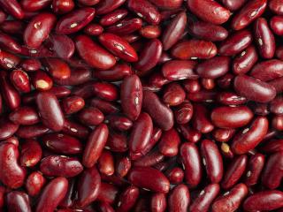 Квасоля гуртом без посередників - фото