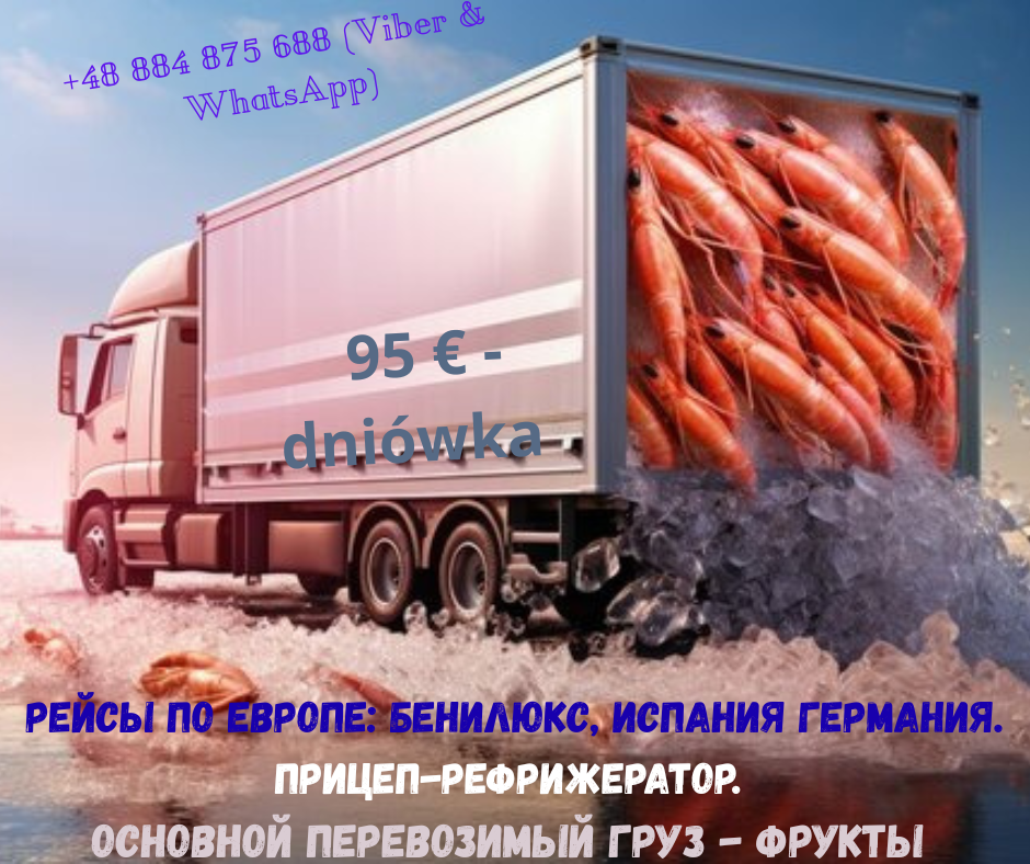 Водій рейсів міжнародних, категорії С+Е (Польща), фото 1 Водій рейсів міжнародних, категорії С+Е (Польща), фото 1