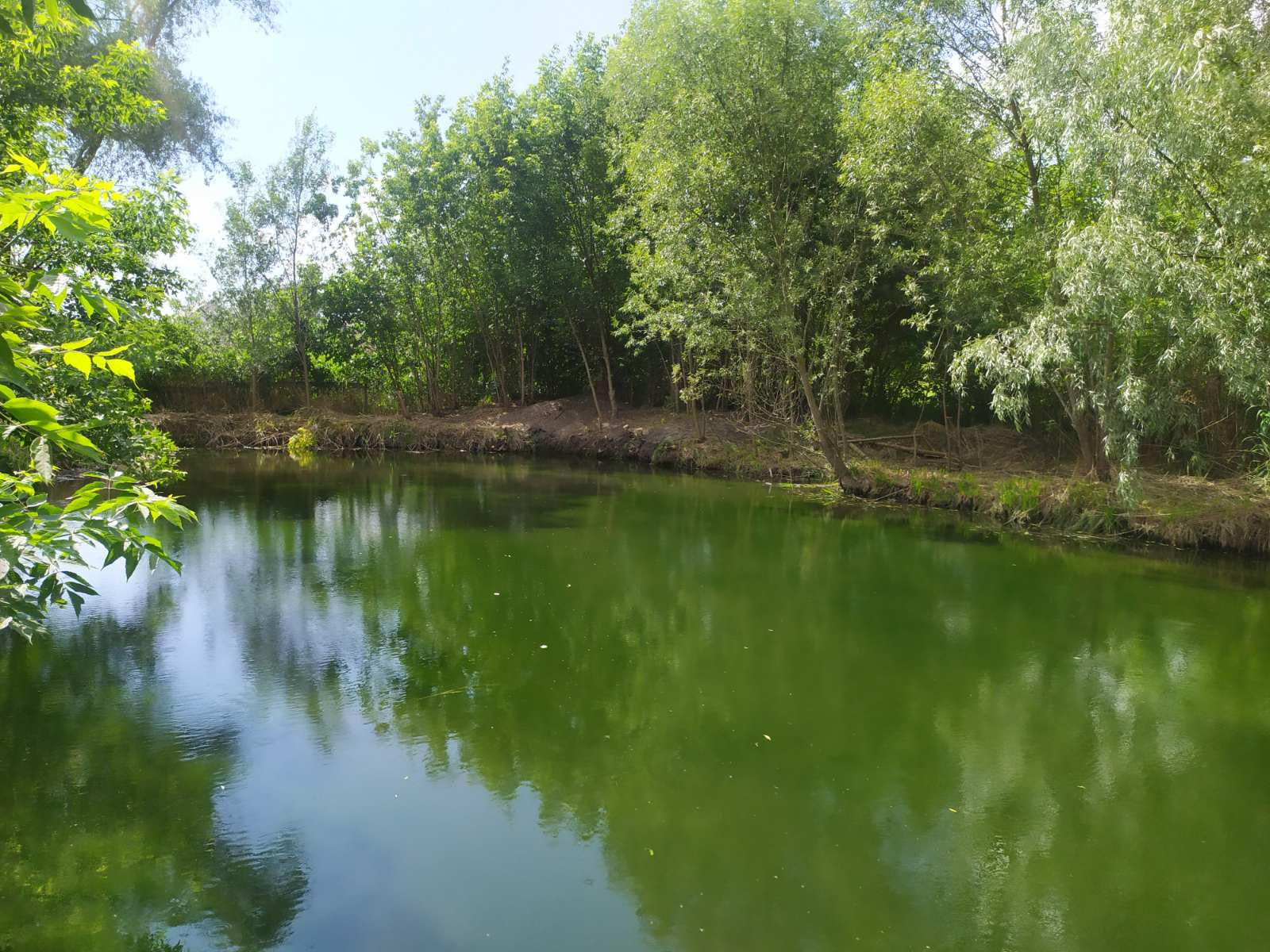 Ділянка із ставком та лісом в центрі міста Обухів, фото 1 Ділянка із ставком та лісом в центрі міста Обухів, фото 1