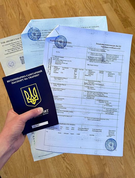 срочное оформление документов для выезда животных за границу, фото 1 срочное оформление документов для выезда животных за границу, фото 1