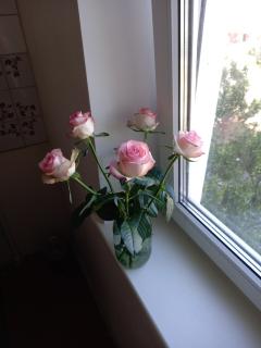 Ремонт відкосів Новобіличі - Якісно та надійно - фото