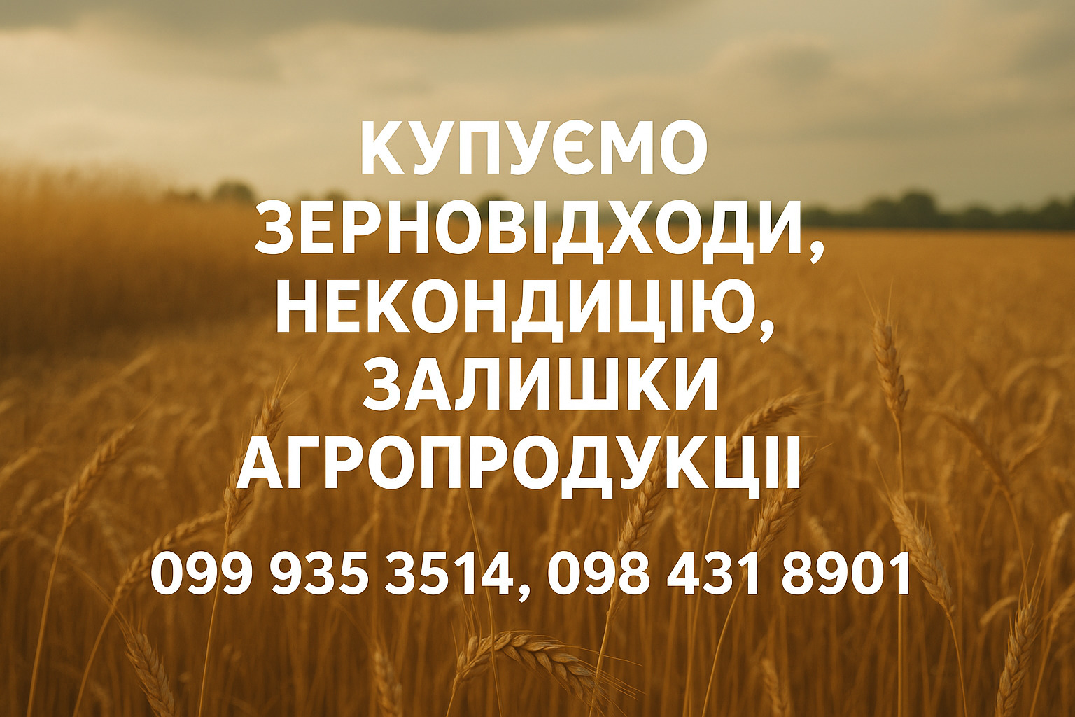 Купуємо зерновідходи, некондицію та залишки с.г. продукції, фото 1 Купуємо зерновідходи, некондицію та залишки с.г. продукції, фото 1