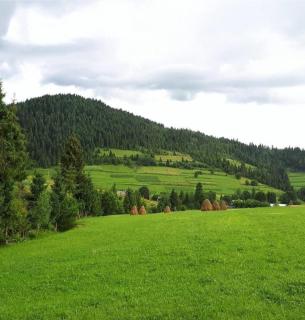 Продається будинок разом з господарською будівлею Продається будинок разом з господарською будівлею