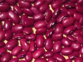 Квасоля Біла кругла, Шоколадниця, Солдатик, Ліма та ін - фото