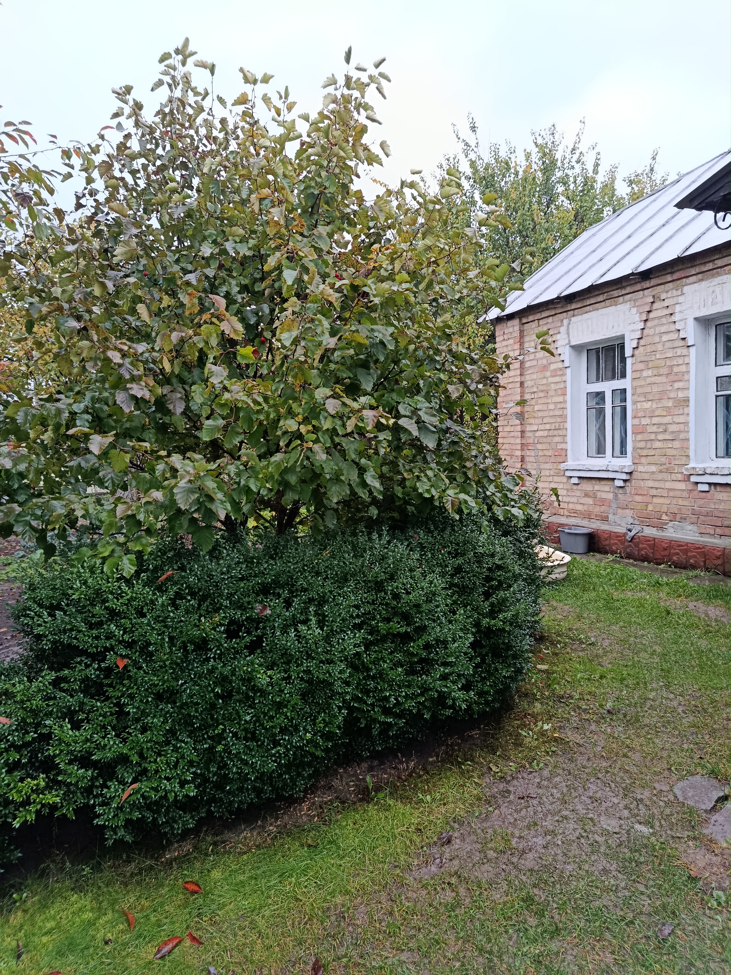 Здам в оренду будинок для родини з 2 людей без дітей та тварин, на довгостроковий термін, фото 1 Здам в оренду будинок для родини з 2 людей без дітей та тварин, на довгостроковий термін, фото 1