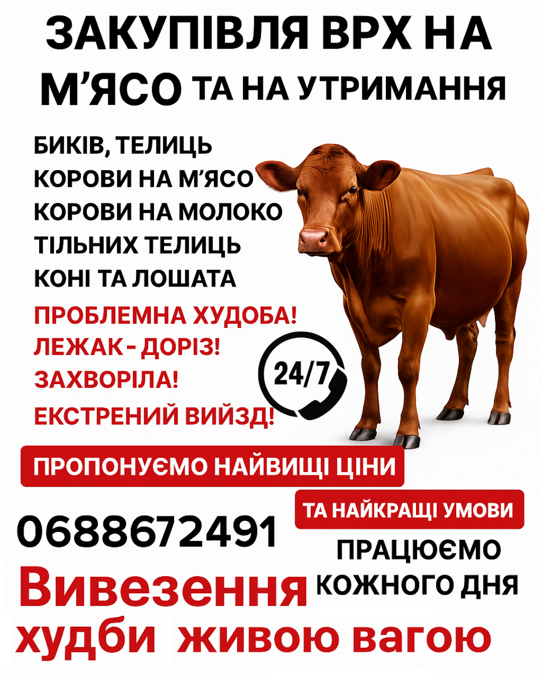 Закупівля ВРХ на м’ясо та на утримання, фото 1 Закупівля ВРХ на м’ясо та на утримання, фото 1