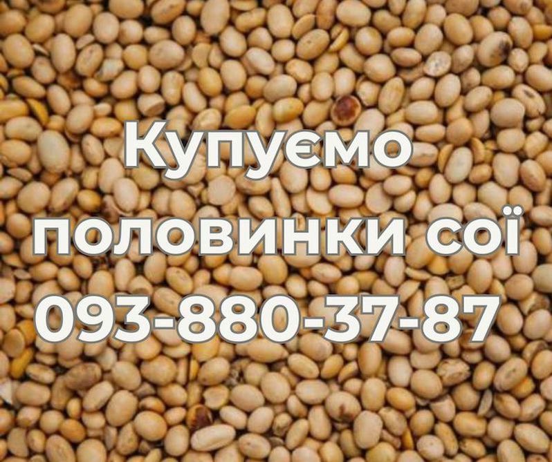 Закуповуємо половинки сої — стабільно та вигідно, фото 1 Закуповуємо половинки сої — стабільно та вигідно, фото 1