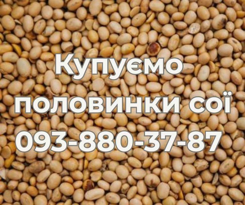 Закуповуємо половинки сої (оплата Ф1, Ф2), фото 1 Закуповуємо половинки сої (оплата Ф1, Ф2), фото 1