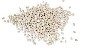 Закуповуємо квасолю різних сортів (від 10 тонн) - фото