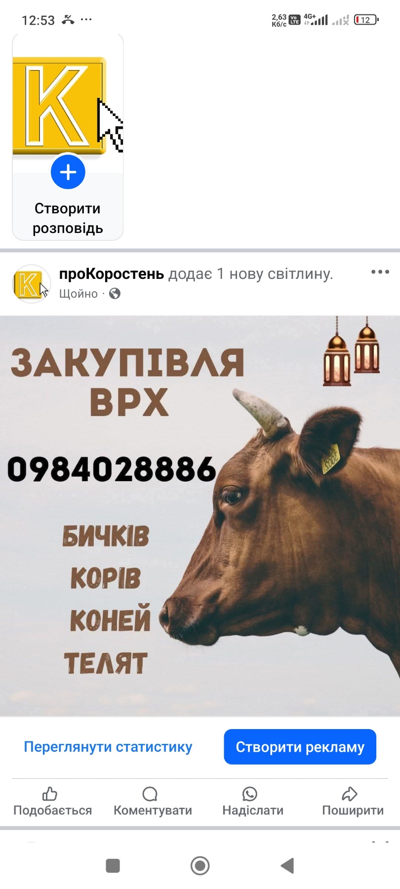 Закупівля корів, фото 1 Закупівля корів, фото 1