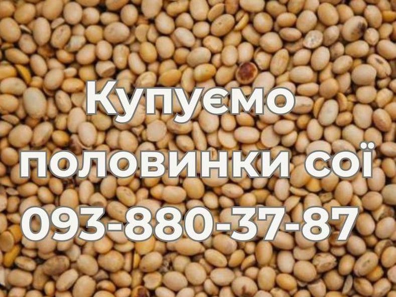 Купівля половинок сої на постійній основі, фото 1 Купівля половинок сої на постійній основі, фото 1