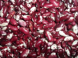 Квасоля на продаж. Відбірні, перевірені сорти - фото