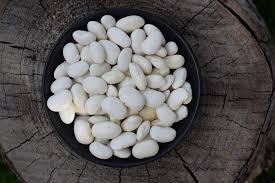 Закупівля квасолі на переробку, консервування, фото 1 Закупівля квасолі на переробку, консервування, фото 1