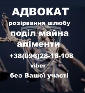 Адвокат по сімейним справам Сарафін Віктор Францович - фото