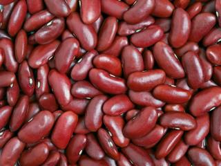 Квасоля в асортименті - фото