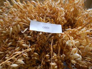 овсяная мука мешо30 кг - фото