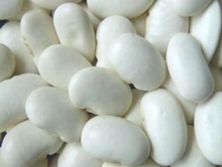 Сортова квасоля в асортименті - фото