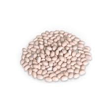 Закупка квасолі на переробку та консервування - фото