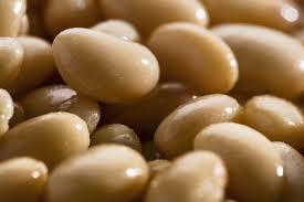 Закупівля квасолі для переробки та консервування - фото