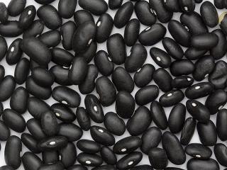 Квасоля оптом від виробника з доставкою - фото