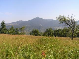 Продаж земельної ділянки в Карпатах - фото