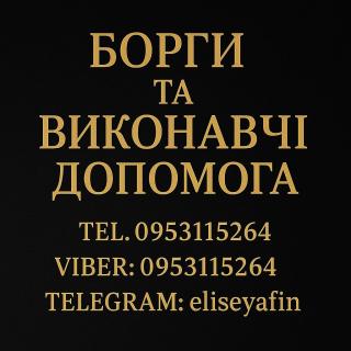 Борги та Виконавчі. Допомога - фото